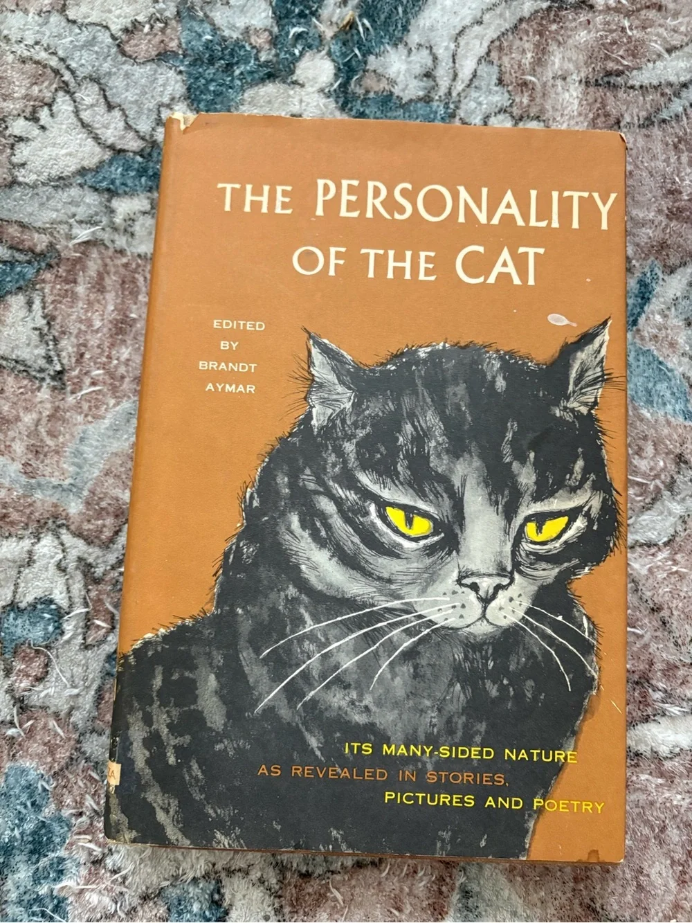 The Personality of a Cat Vintage Book